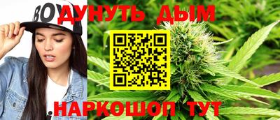ALPHA PVP Пугачёв
